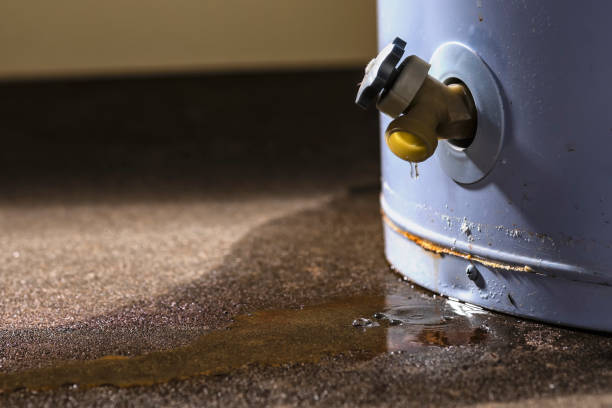 Water damage restoration mold remediation in Ottawa, KS