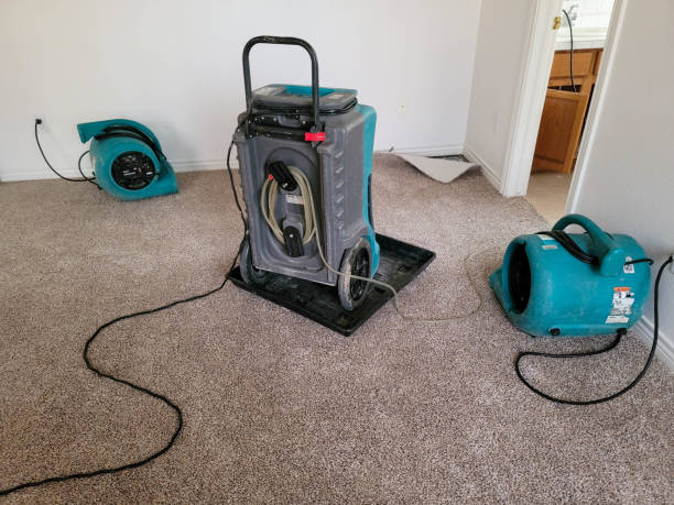 Best Water damage contractors near me  in Ottawa, KS