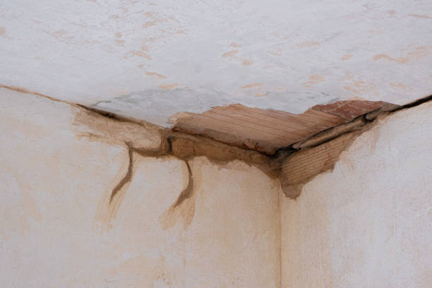 Best Carpet water damage restoration  in Ottawa, KS