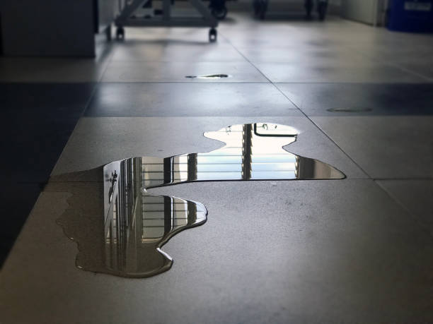 Best Water damage restoration specialists  in Ottawa, KS