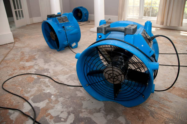 Reliable Ottawa, KS Water damage restoration Solutions
