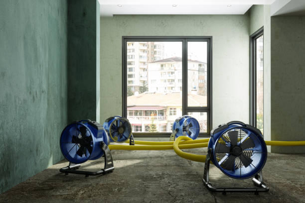 Fire Damage Restoration in Ottawa, KS