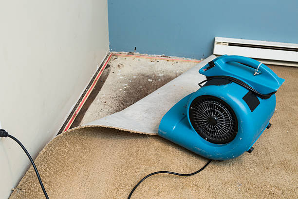 Best Water damage cleanup near me  in Ottawa, KS